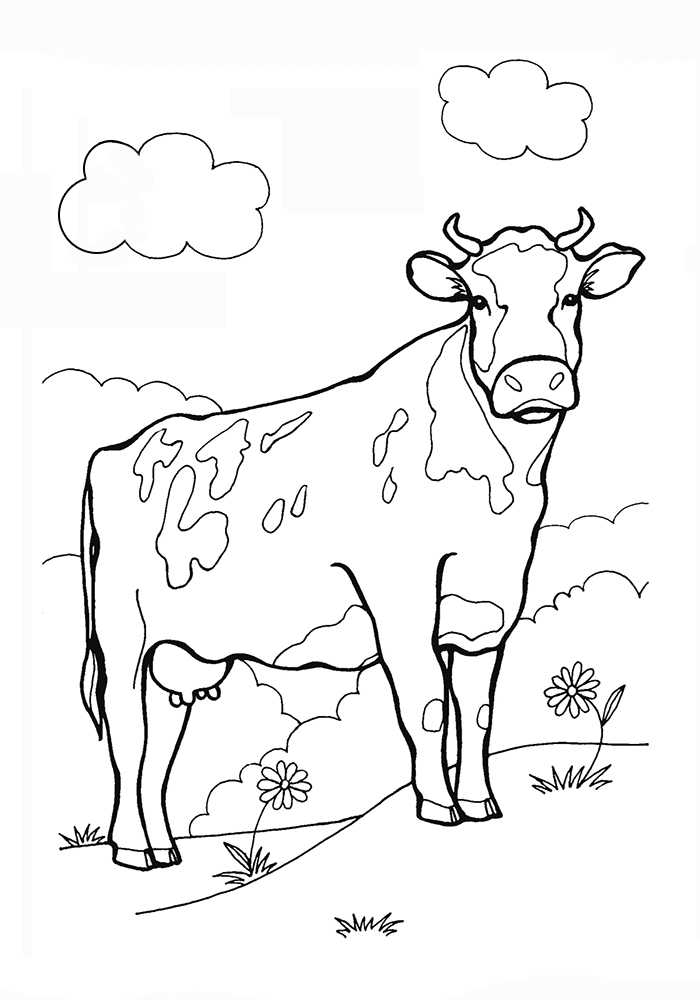 Как нарисовать быка — символ 2021 года — приколись — смешные приколы — видео про животных, полезные истории, картинки о путешествиях
