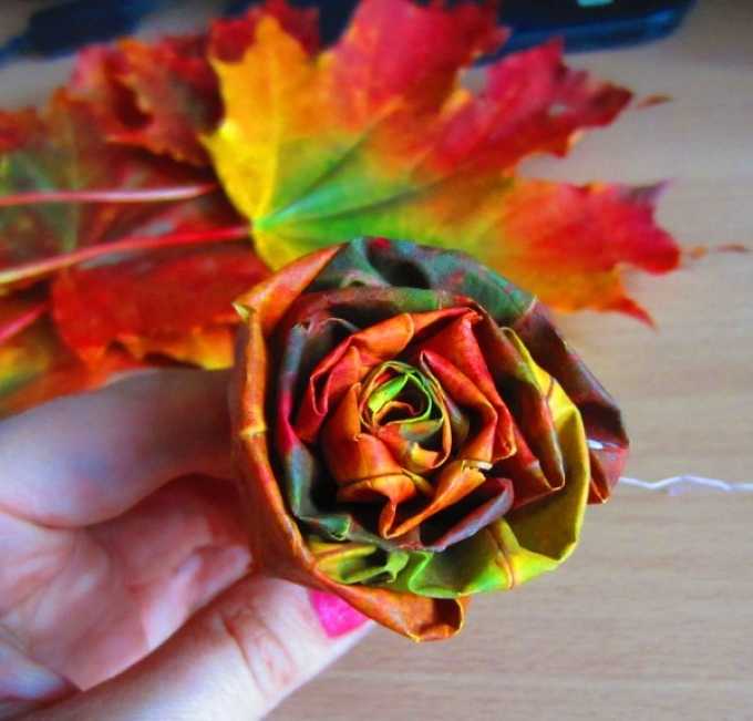 Цветы из листьев своими руками. как сделать розу из кленового листа поэтапно. пошаговая инструкция по созданию бутонов