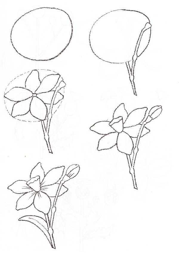 Как нарисовать розу: легкое поэтапное рисование букета карандашом для начинающих и нарисованные цветные шаблоны для детей