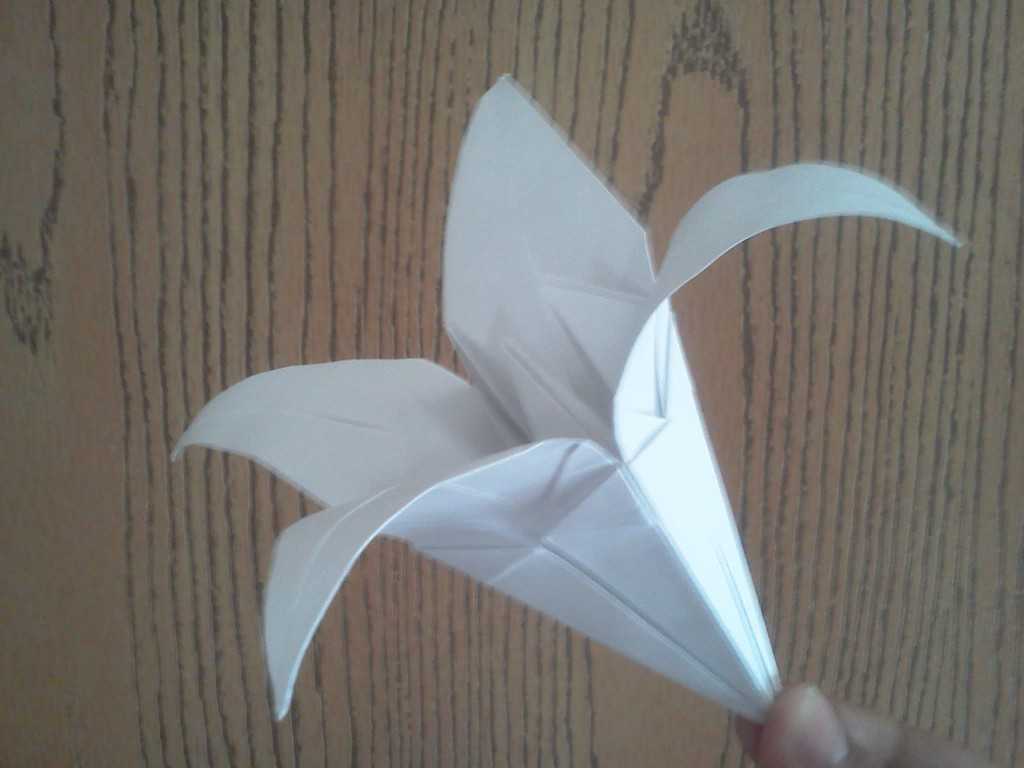 Цветы оригами из бумаги — простая инструкция, с фото и видео. лучшие дизайнерские решения по созданию красивых цветов своими руками