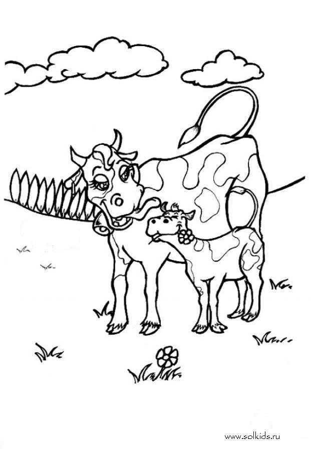 15 простых способов нарисовать быка или корову