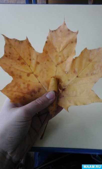 Осенний букет из листьев: 70 идей