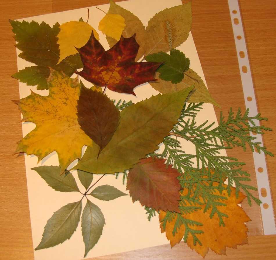 Осенние оригами. поделки из цветной бумаги