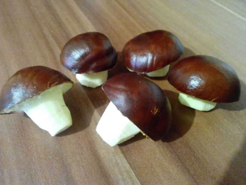 Поделки из каштанов для детей