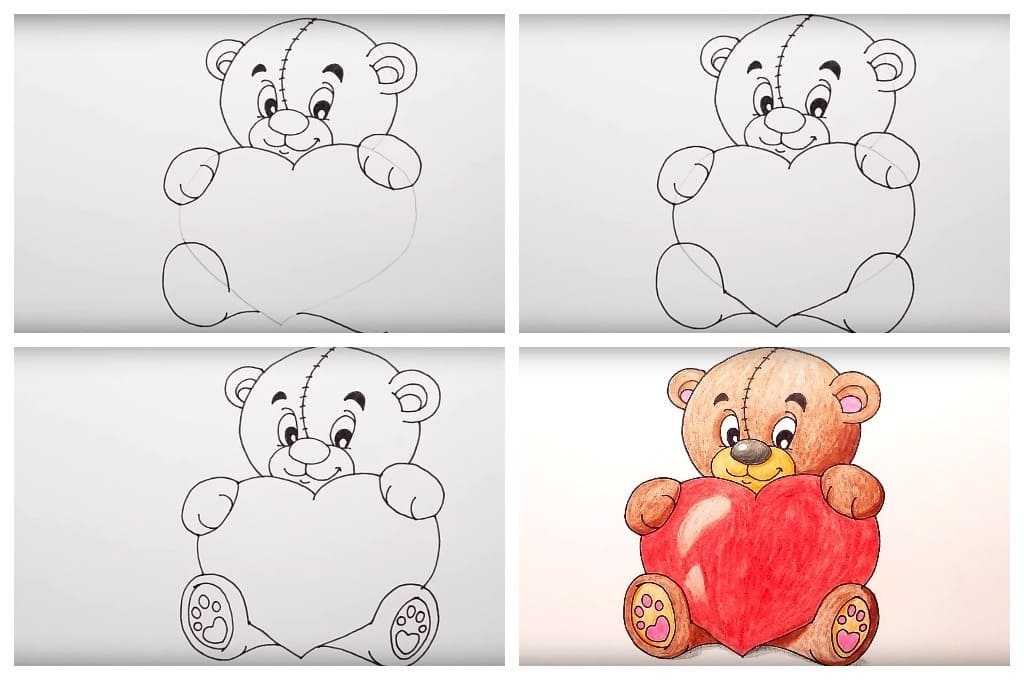 Как нарисовать медведя поэтапно 20+ уроков