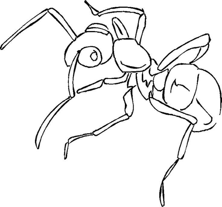 Как нарисовать муравья поэтапно