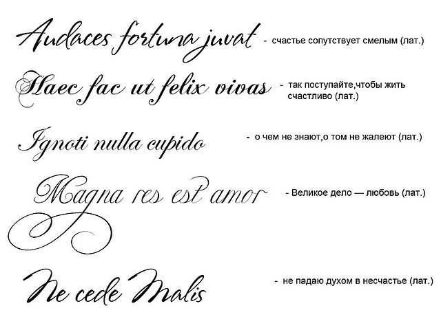 Надписи на английском для тату: с переводом, для девушек, короткие, для мужчин, шрифты, фото