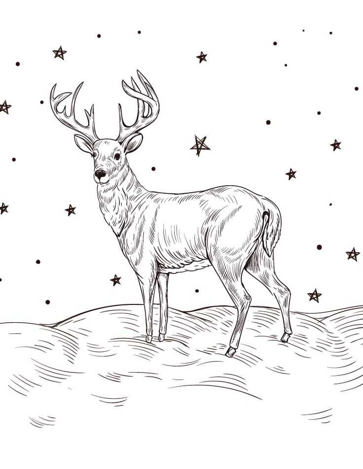 Как нарисовать оленя поэтапно легко и красиво — пошаговые уроки рисования