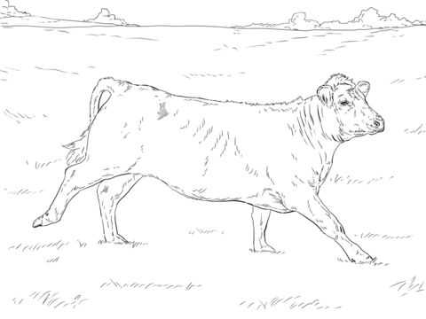 Как легко нарисовать корову карандашом поэтапно – для детей и взрослых