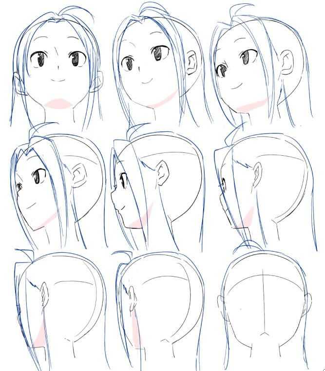 Анатомия человека для рисования для начинающих поэтапно: позы, голова, аниме, лицо, тело в полный рост