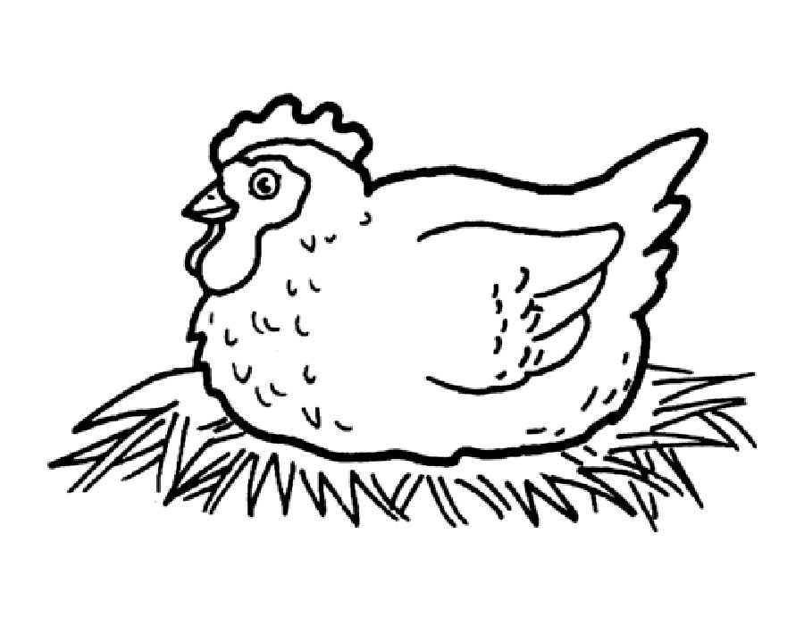 Раскраски курица | бесплатно распечатать, скачать картинки для детей