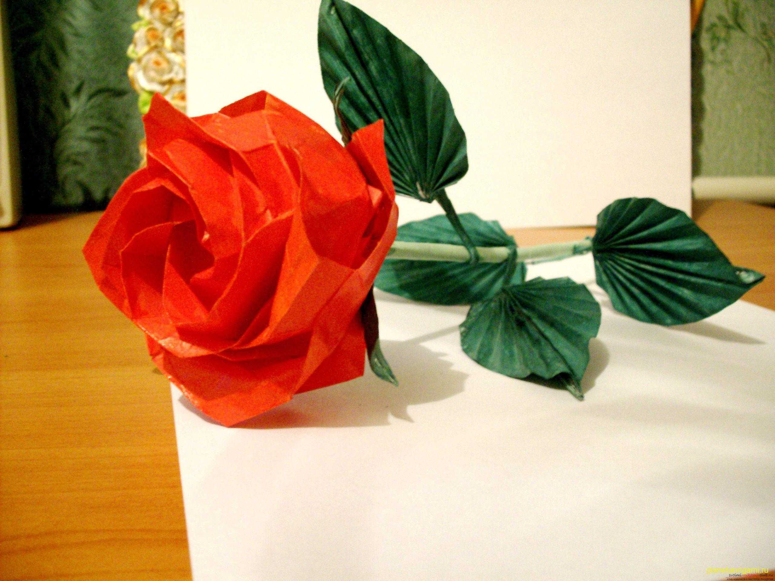 Пошаговая схема как сделать оригами цветок из бумаги