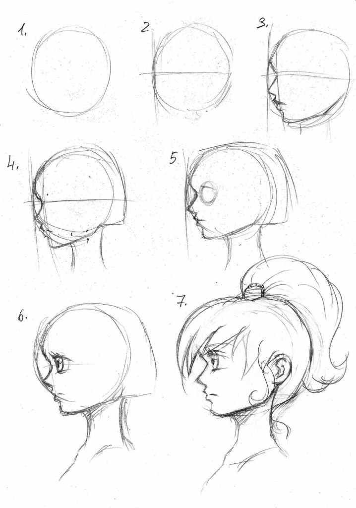 Анатомия человека для рисования для начинающих поэтапно: позы, голова, аниме, лицо, тело в полный рост
