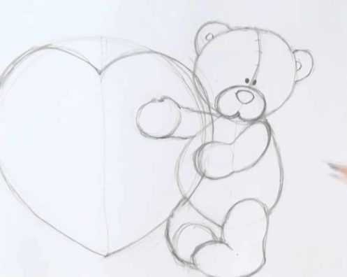 Как нарисовать мишку тедди карандашом: мишка тедди с цветком, с сердечком, рисунок мишки тедди для начинающих. как нарисовать мишку тедди на ногтях: описание