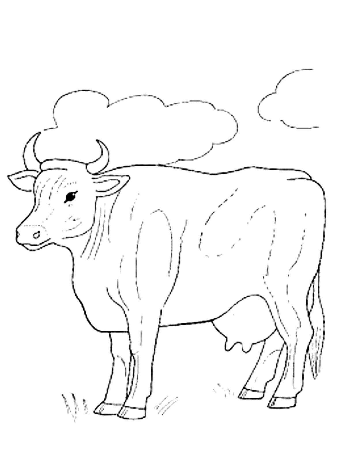 Как легко нарисовать быка или корову - лайфхакер