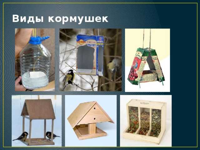 Кормушки для птиц: инструкции, фото и оригинальные идеи - квартира, дом, дача - медиаплатформа миртесен