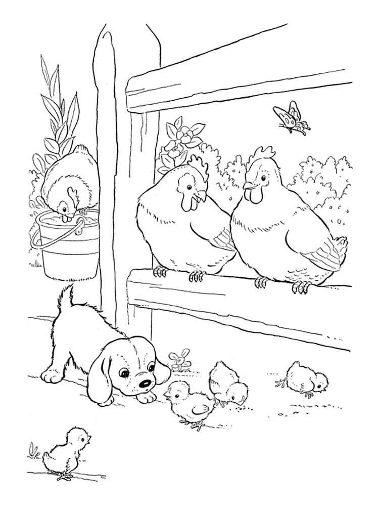Как нарисовать курицу или курочку поэтапно для детей — пошаговые уроки рисования