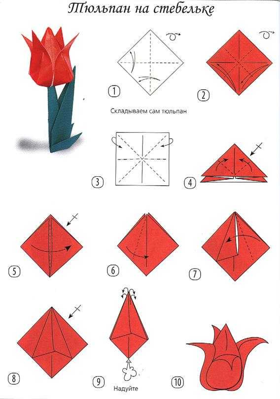 Как сделать тюльпан из бумаги в технике оригами