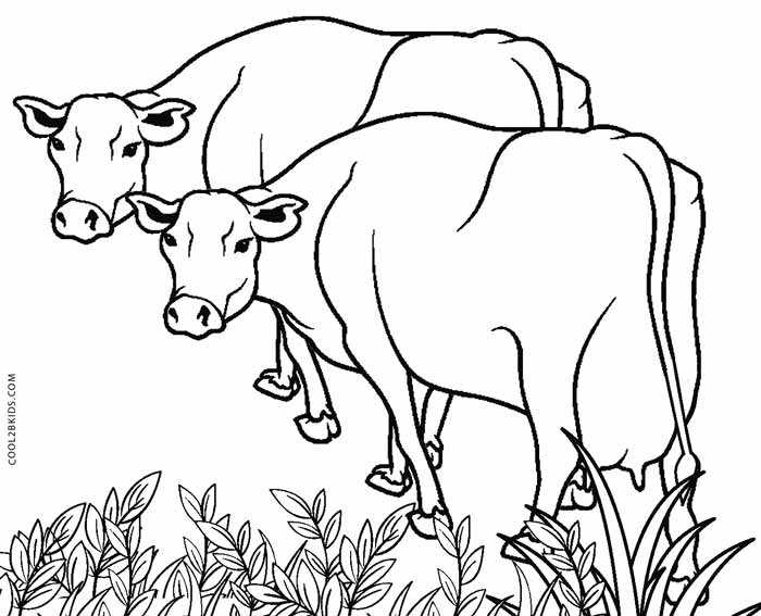 Рисунки символа 2021 года быка: как нарисовать, поэтапно, для срисовки
