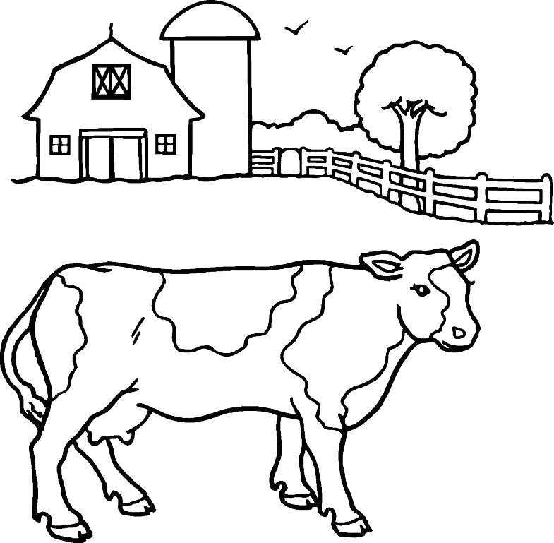 Раскраска быки, бычки и коровки на новый год 2021