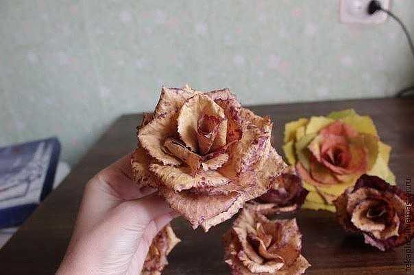 Как сделать розы из кленовых листьев | fresher - лучшее из рунета за день