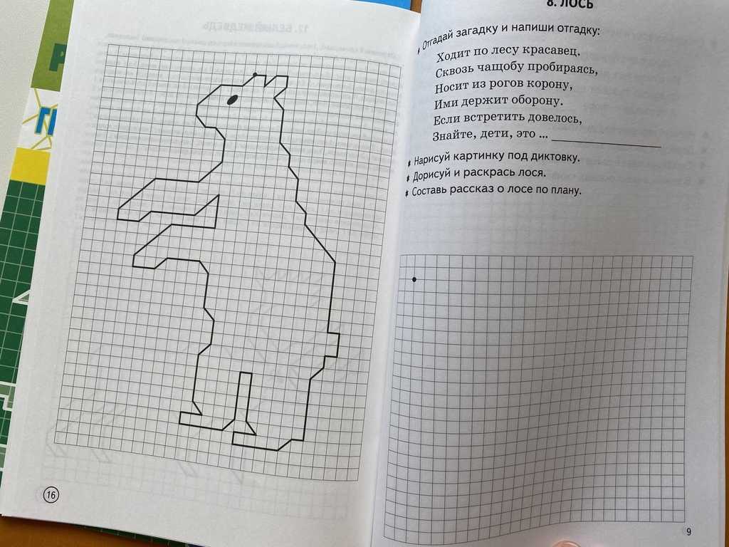 Графические диктанты для дошкольников. уроки рисования по клеточкам для дошкольников