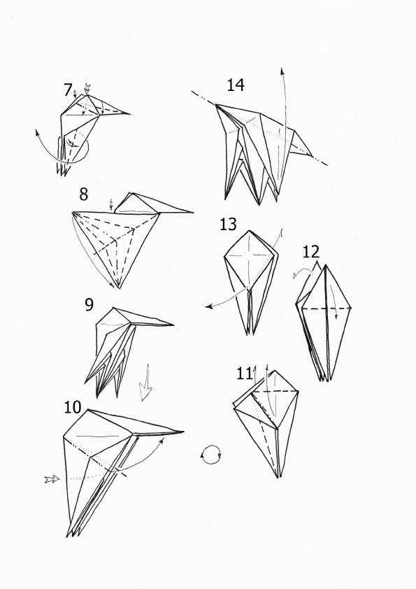 Как сделать оригами попугая начинающим: фото обзор с подробным поэтапным описанием всех видов поделок