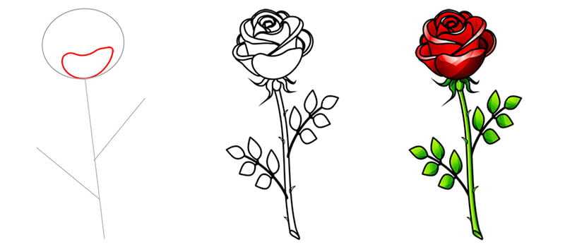 Как нарисовать букет роз: поэтапный урок создания рисунка простым карандашом для начинающих и профи