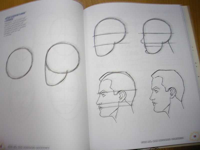 Как нарисовать человека: пошаговая инструкция для начинающих