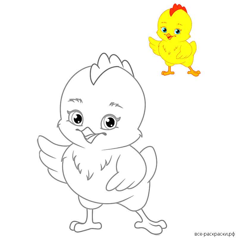 Рисунок курицы для детей карандашом для раскрашивания для детей с цыплятами, яйцом, котятами из сказки