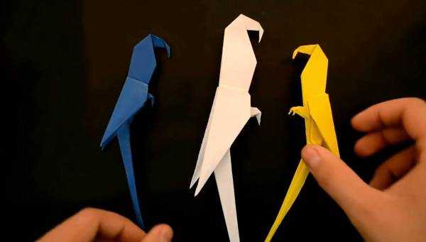 Попугай оригами: делаем простого и модульного попугайчиков