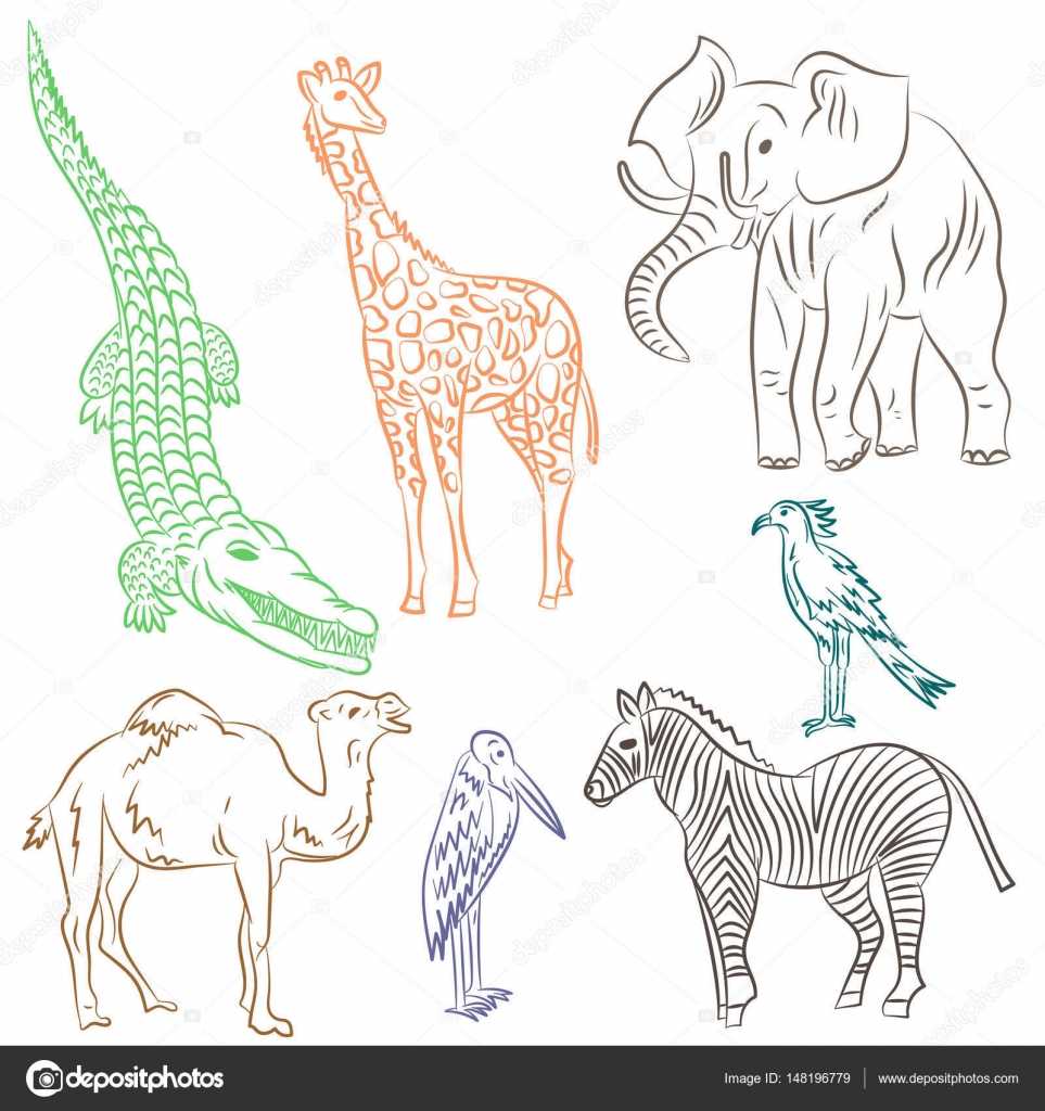 Рисунки животных Африки лёгкие