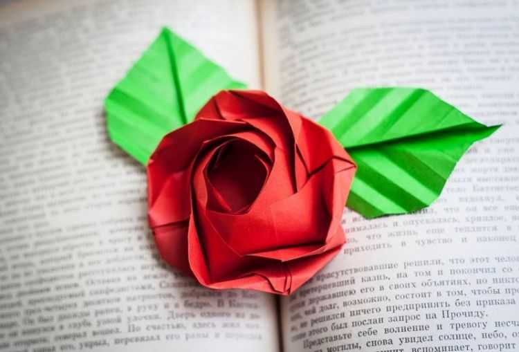 Цветы из бумаги своими руками: подробная инструкция как изготовить бумажные цветы