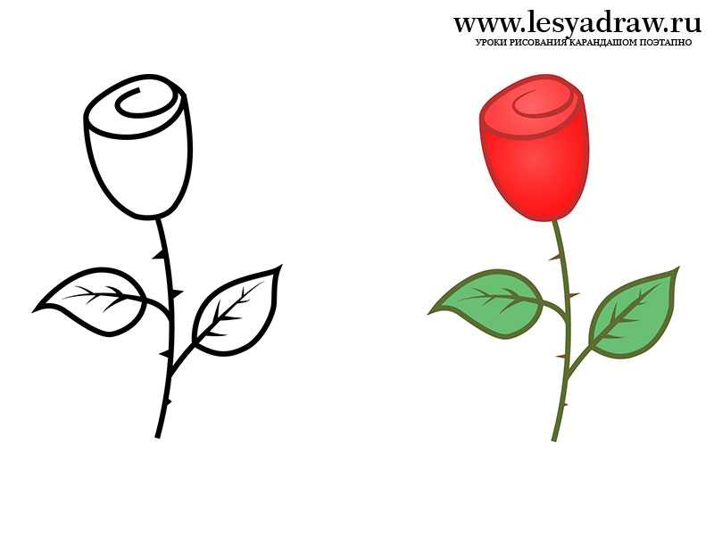 Методы того, как нарисовать розу