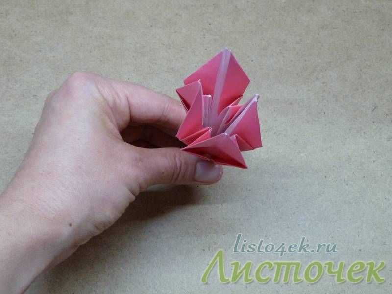 Поделка изделие оригами китайское модульное чудо-лилии бумага