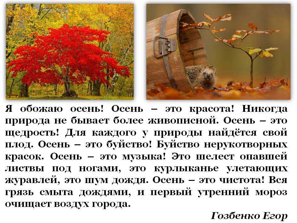Схемы вязания салфеток крючком с описанием на русском языке