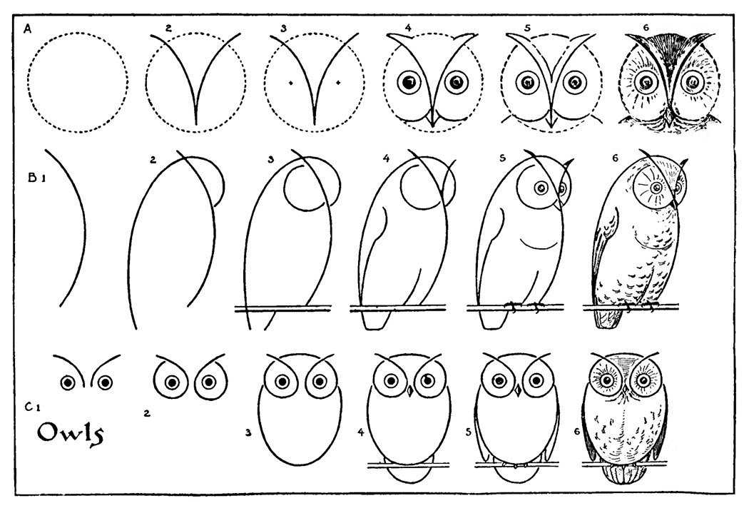 Как красиво нарисовать сову карандашом поэтапно для детей и начинающих? как нарисовать милую, мультяшную, летящую сову карандашом и гуашью?