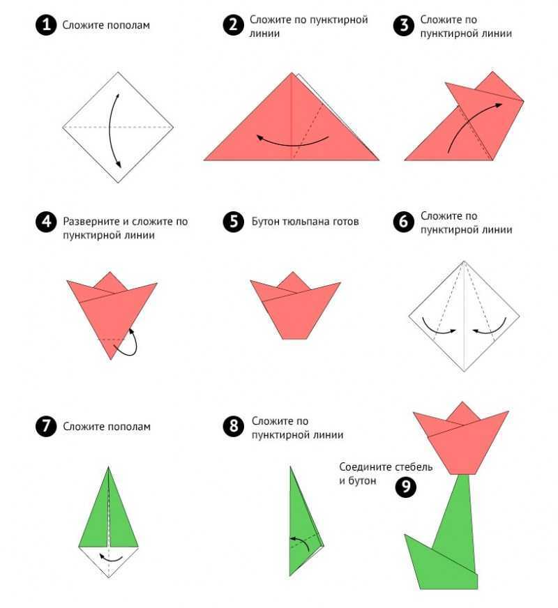 Тюльпан - оригами: схема, пошаговые мастер-классы и видео по сборке цветка