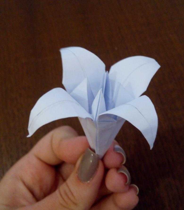 Поделка изделие оригами китайское модульное лилия - модульное оригами бумага