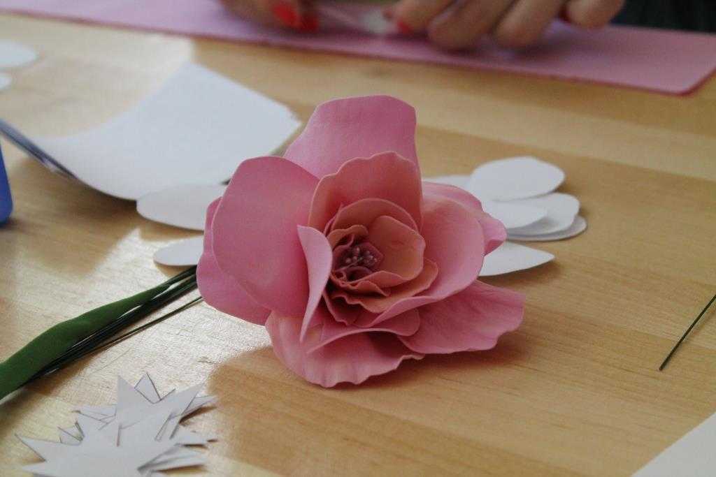 Цветы из бумаги (72 фото) - мастер-классы по изготовлению бумажных цветов