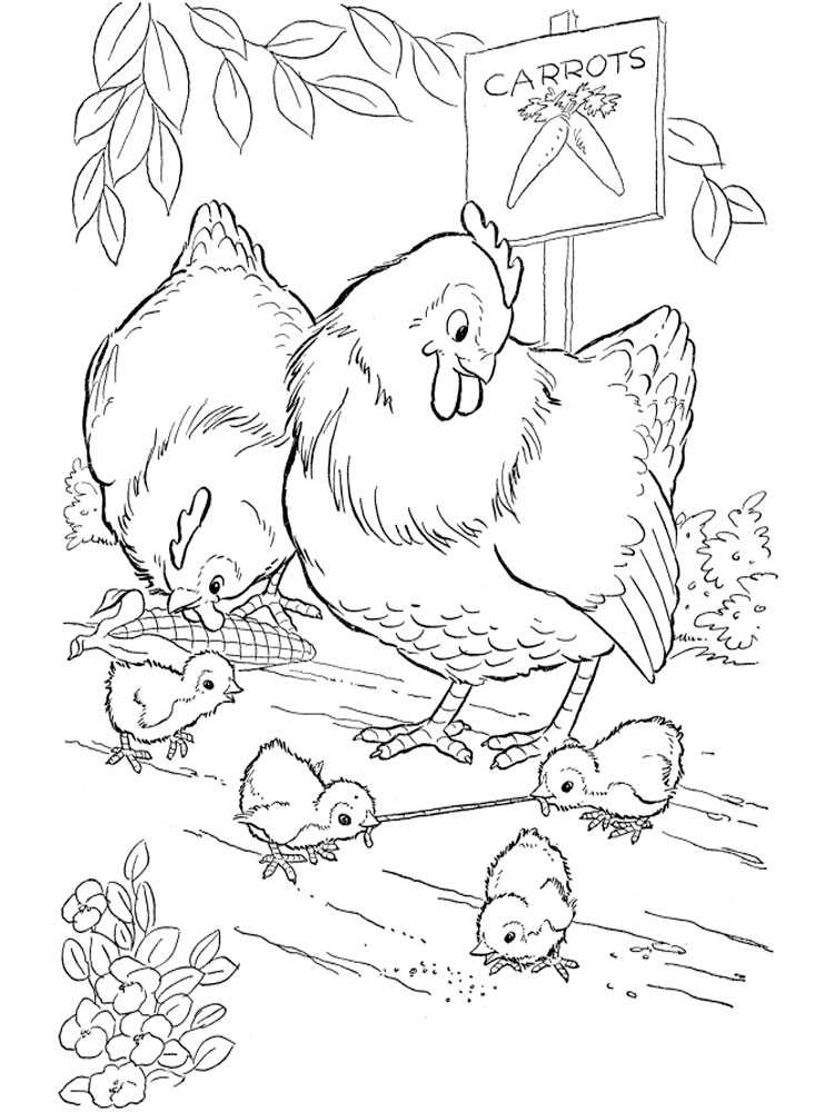 Раскраски цыпленок. лучшие картинки для детей скачивайте и распечатывайте