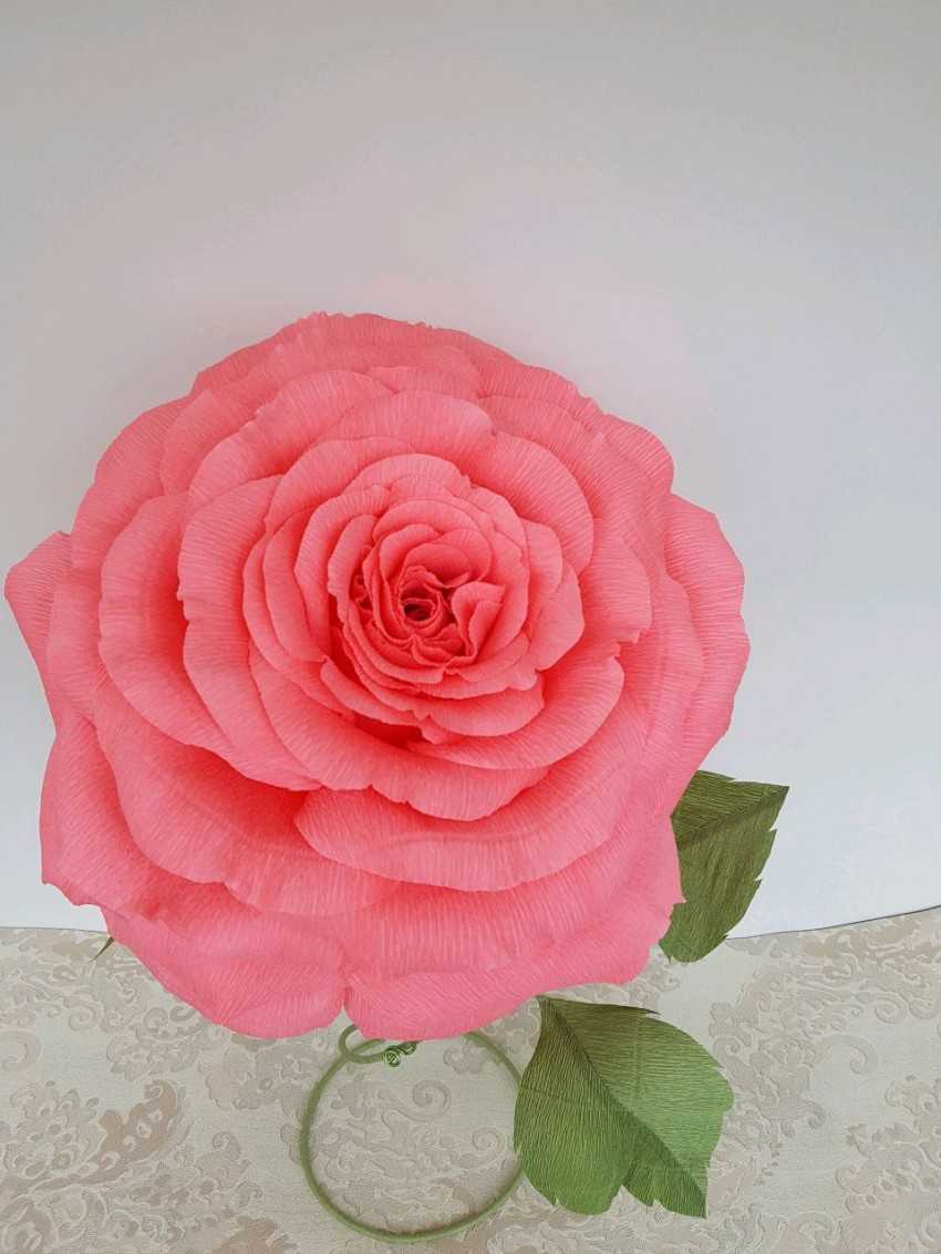 Как сделать розу из обычной и гофрированной бумаги: пошаговые мастер-классы | (110+ фото & видео)