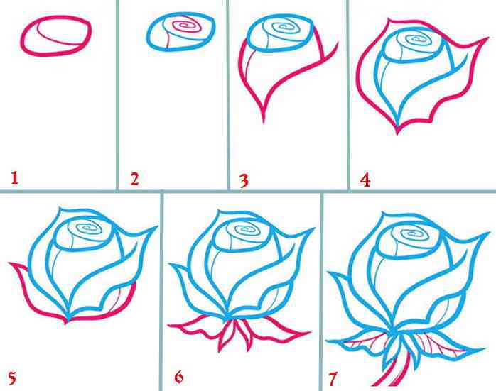 Как нарисовать розу карандашом: поэтапно для начинающих