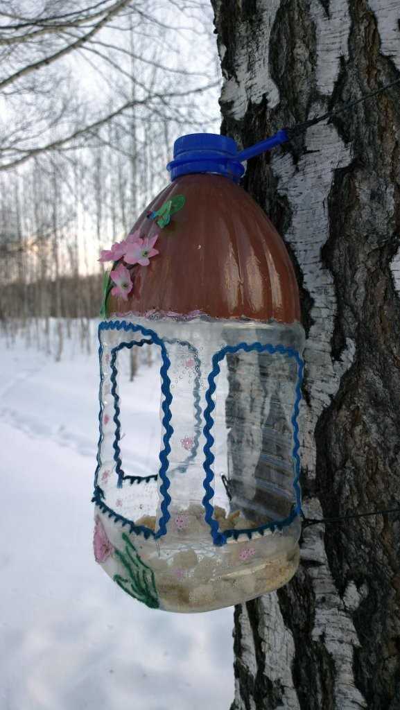 Кормушка для синиц (29 фото): как сделать кормушку для синичек из пластиковой бутылки и из молочного пакета своими руками? оригинальные идеи, размеры
