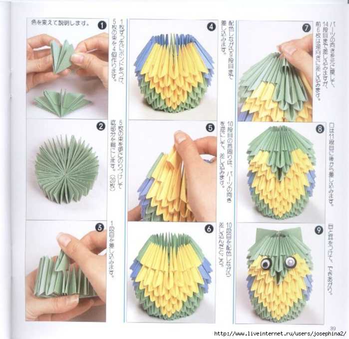 Модульное оригами – павлин (обыкновенный и синий): пошаговая инструкция и видеоматериалы