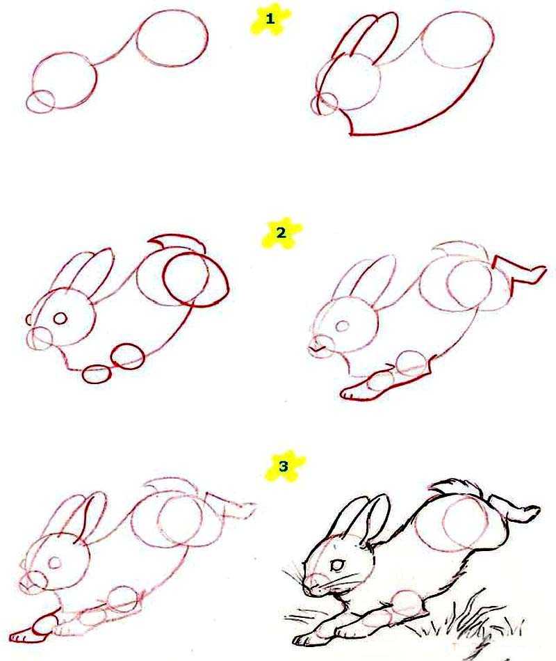 Рисунки на свободную тему карандашом легкие, красивые, простые поэтапно для детей 4-5-6-7-8 класс