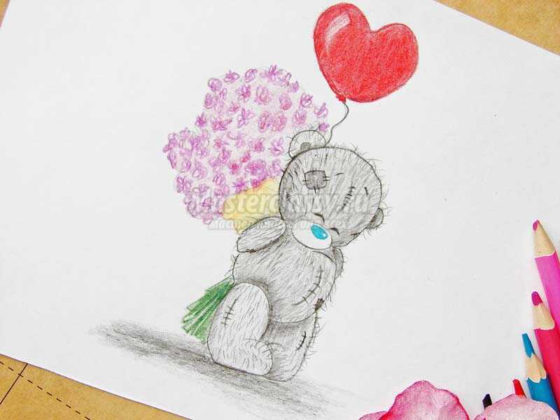 Мишка тедди рисунок карандашом поэтапно легко для начинающих цветной с сердечком, цветами