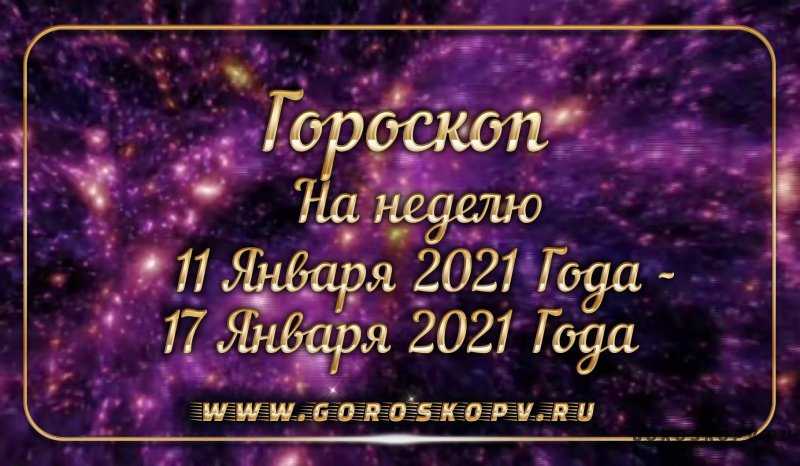 Символ 2019 года - желтая земляная свинья. - гороскоп,обзор zohe.ru