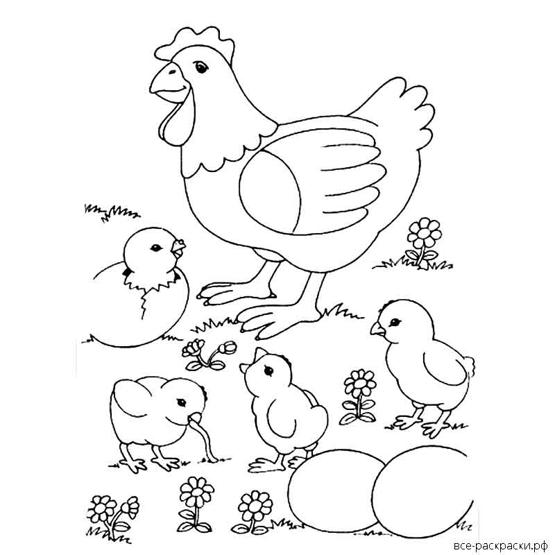 Игровое занятие «петушок, курочка и цыплята»