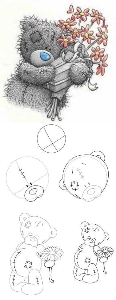 Учимся рисовать медведей карандашами поэтапно